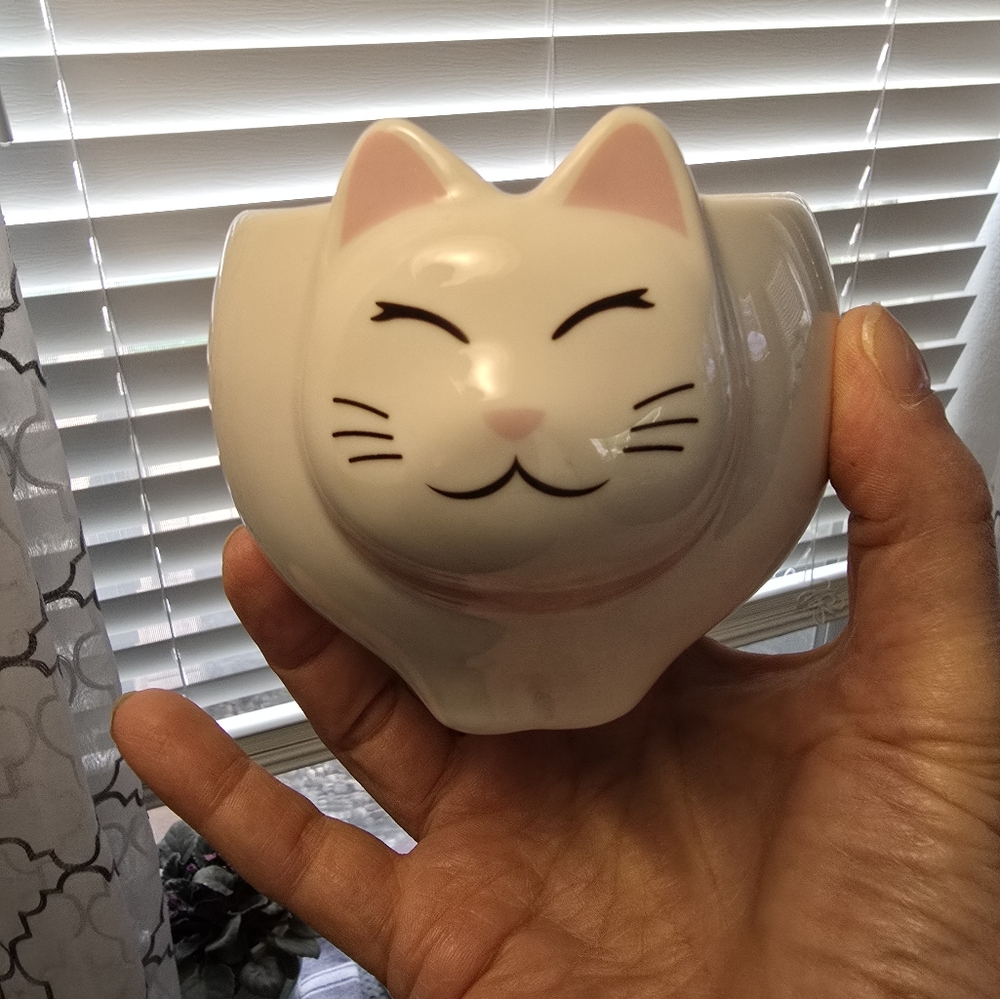 Modern Expression Ceramic Cat Mug